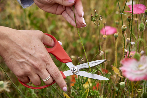 Corona SP10003 Flower Branch Stem 3-Piece Pruner Scissors Snip Set