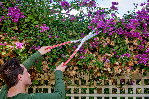 Corona HS15340CC PrecisionCUT Aluminum Hedge Shear Lightweight