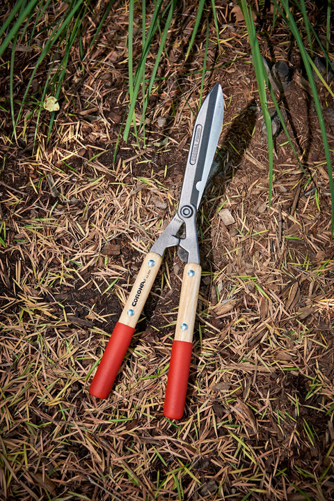 Corona HS 3911 Forged Hedge Shear 8-1/4" Wood Handle Limb Notch