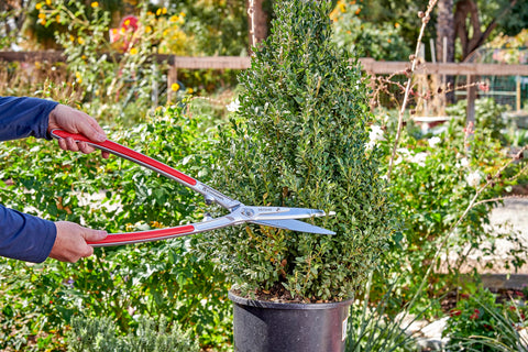 Corona HS15340CC PrecisionCUT Aluminum Hedge Shear Lightweight