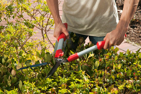 Corona HS 3244 ComfortGEL Hedge Shear 9" Non-Stick Steel Blade