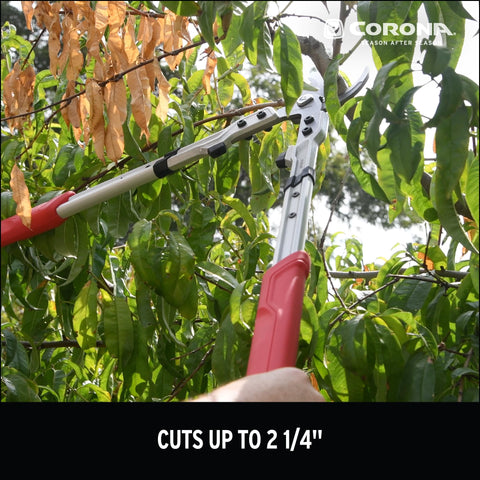 Corona AL16249CC X Series Pro Bypass Lopper 2-1/4 in Heavy-Duty Branch Cutter
