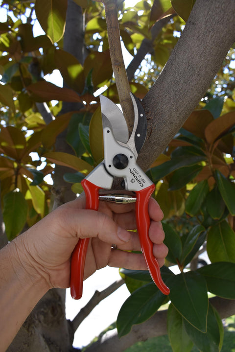 Corona SP 6250 Aluminum Bypass Pruner Kit Pouch Sharpener Bundle