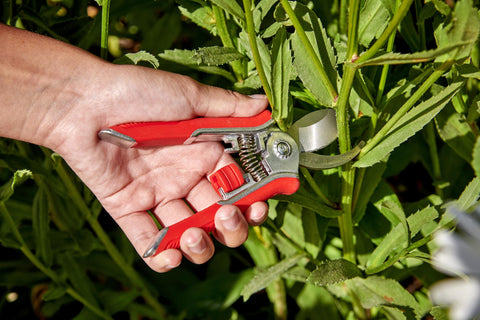 Corona SP10004 3-Piece Pruning Tool Set Lopper Hedge Shrub Shears Branch Cutter