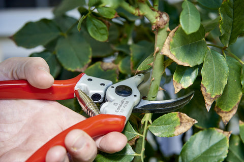 Corona BP 4250 Bypass Pruner 1" Cut Forged Steel Aluminum Handle