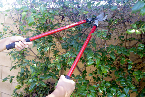 Corona SP10004 3-Piece Pruning Tool Set Lopper Hedge Shrub Shears Branch Cutter