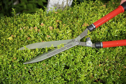 Corona HS 3950 Extendable Hedge Shear 10" Forged Steel Blade
